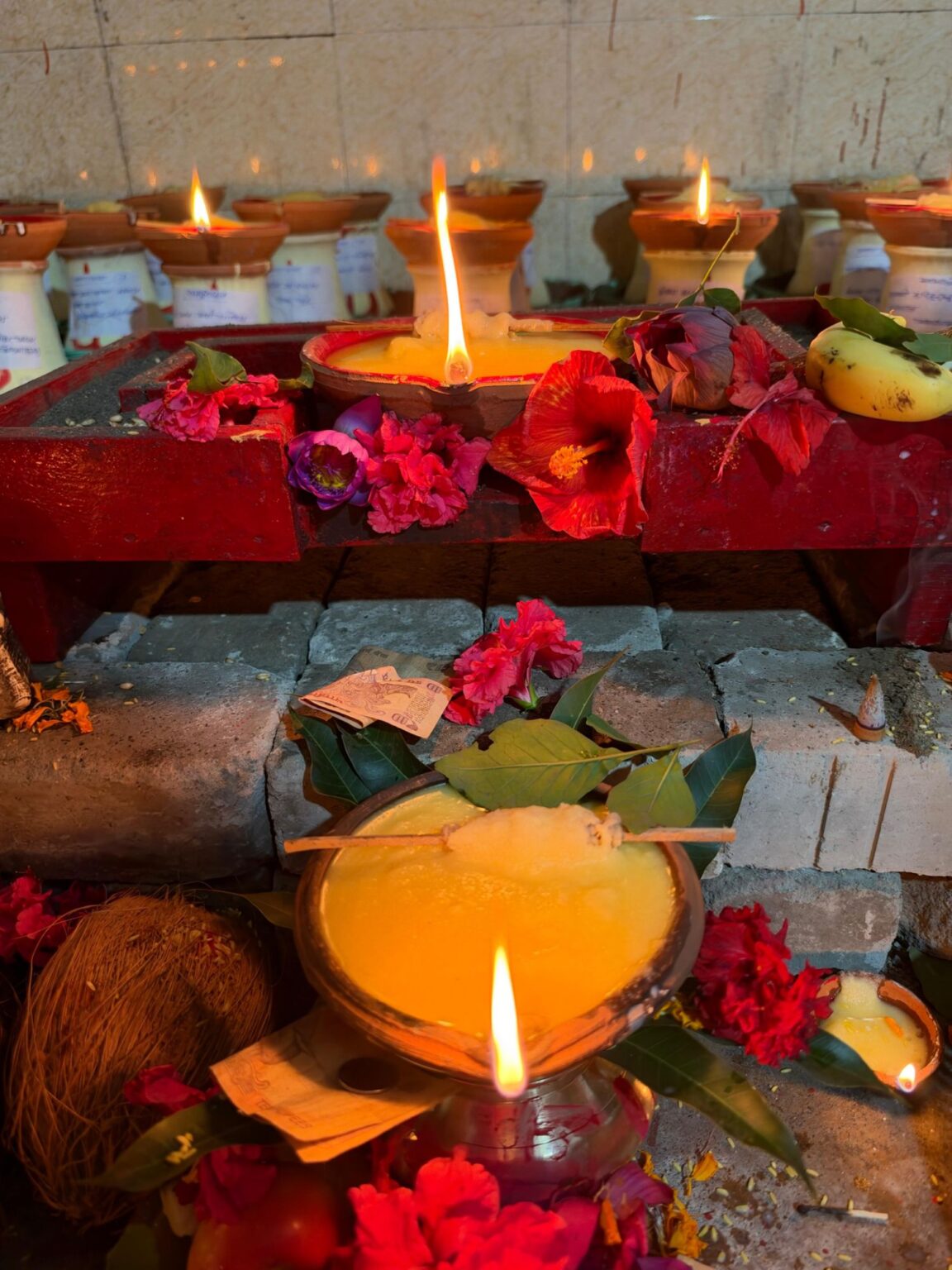 12 हजार से अधिक ज्योति कलशों से जगमगाया मां सर्वमंगला का दरबार, नवरात्रि के पहले दिन उमड़ी आस्था की भीड़